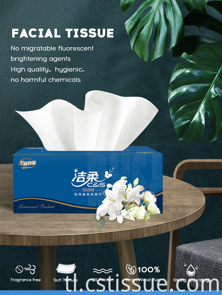 2 Ply Box Tissue